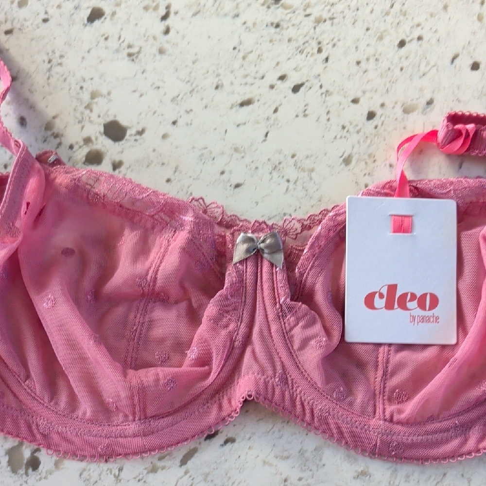 Cleo By Panache Marcie Bra In Dusky Rose Size 36F NWT